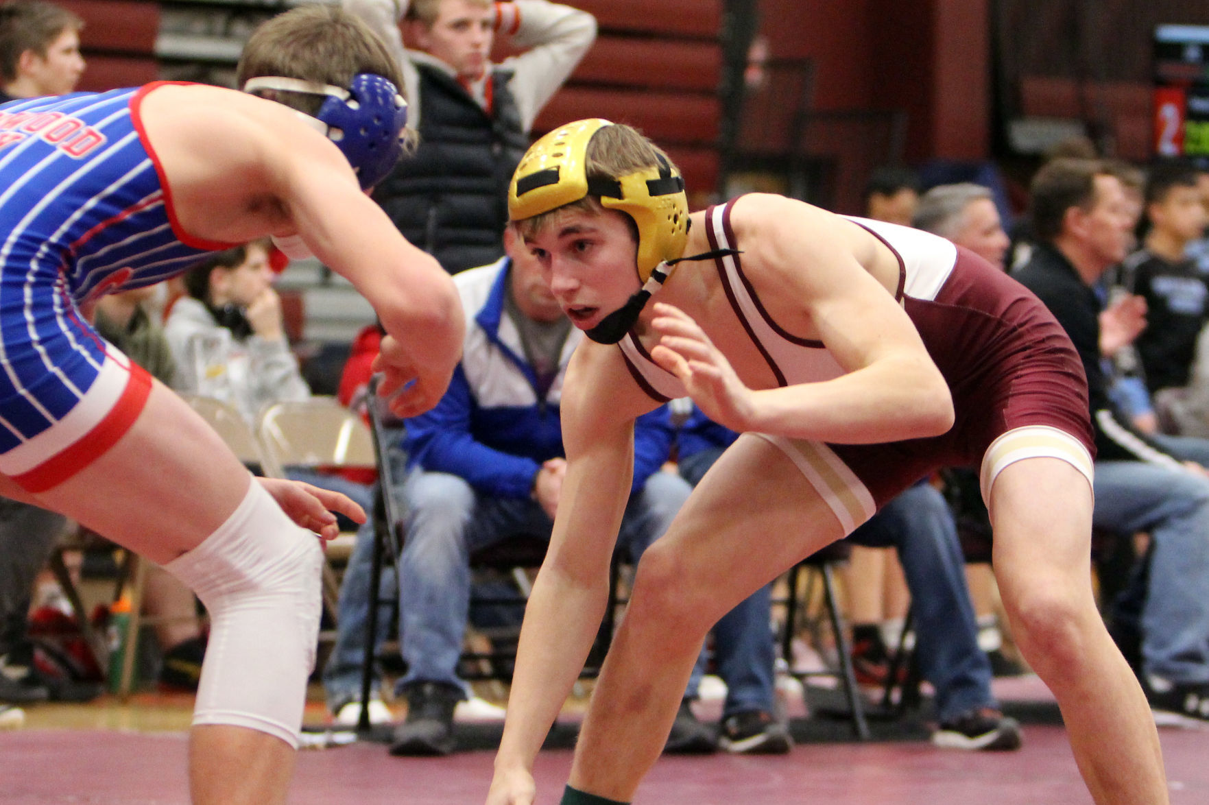 Whitetail Shootout Menomonie wrestling tournament 1-31-20